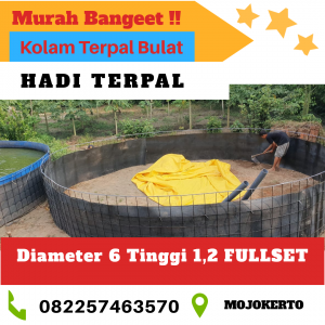 harga terpal siap pakai